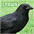 Crows