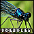 Dragonflies