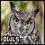 Owls