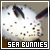 Sea Bunnies