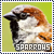 Sparrows