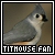 Titmouse